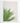 Artworld Wall Art Plant Canvas Print 676