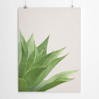 Artworld Wall Art Plant Canvas Print 676