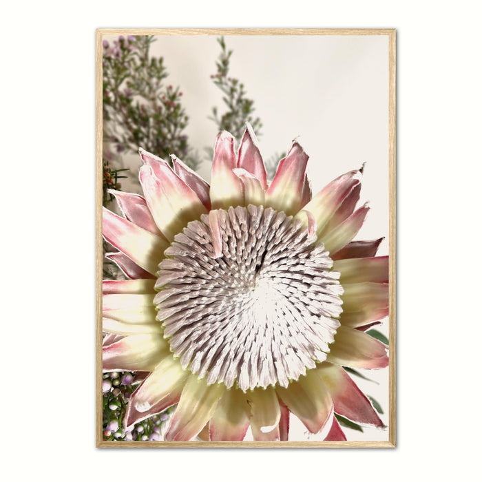 Pretty Protea Wall Art