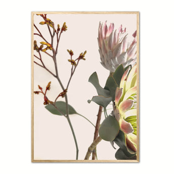 Artworld Wall Art Pretty Protea Wall Art Prints