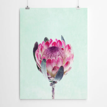 Artworld Wall Art Protea Art Print 69