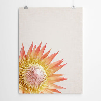 Artworld Wall Art Protea Art Print 692