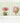 Artworld Wall Art Protea Art Set Print 693