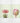 Artworld Wall Art Protea Art Set Print 693
