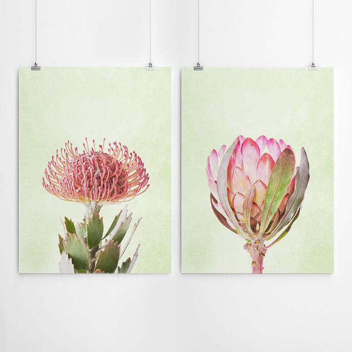 Protea Art Set Print