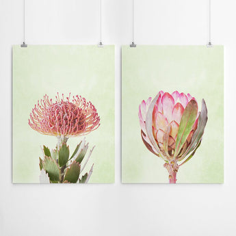 Artworld Wall Art Protea Art Set Print 693