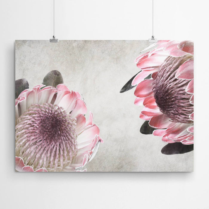 Protea Flower Wall Art