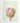 Artworld Wall Art Protea Green Print 697