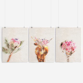 Artworld Wall Art Protea Print Set 699