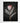 Artworld Wall Art Protea Wall Art 700