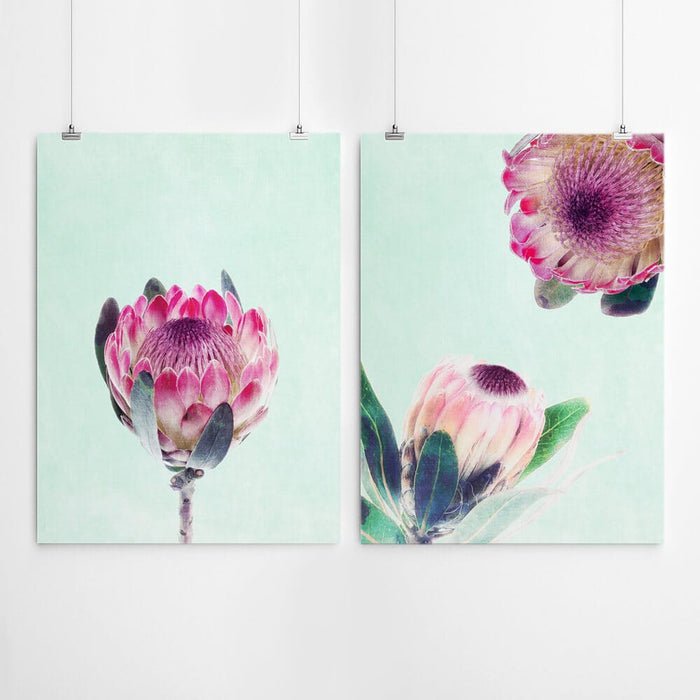 Protea Wall Art Set