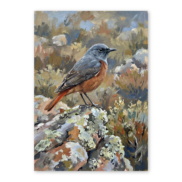 Watercolour painting of a red-breasted robin with blue-grey head and wings perched on a lichen-covered rock in desert