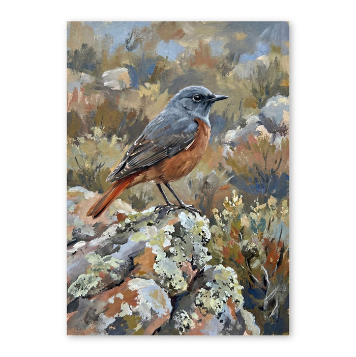 Red-Breasted Robin On Lichen Stone