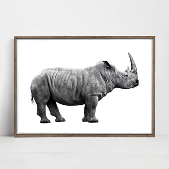 Artworld Wall Art Rhino Art Print 724