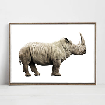 Artworld Wall Art Rhino Wall Art Print 726