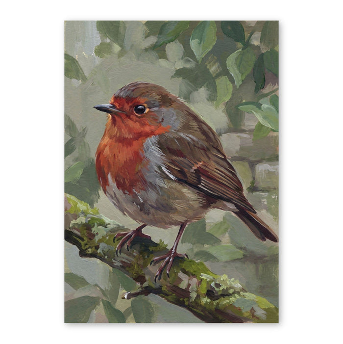 Robin Perched On Mossy Branch