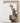 Artworld Wall Art Safari Animal Nursery Art 737