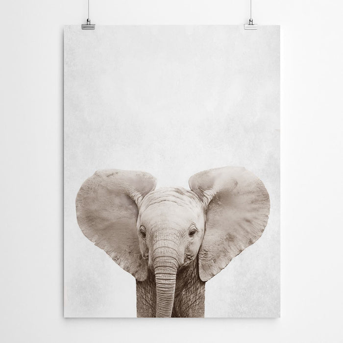 Safari Nursery Art