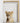 Artworld Wall Art Safari Wall Art 739