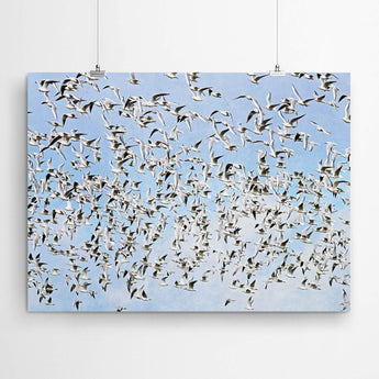 Artworld Wall Art Seagull Beach Canvas Print 746