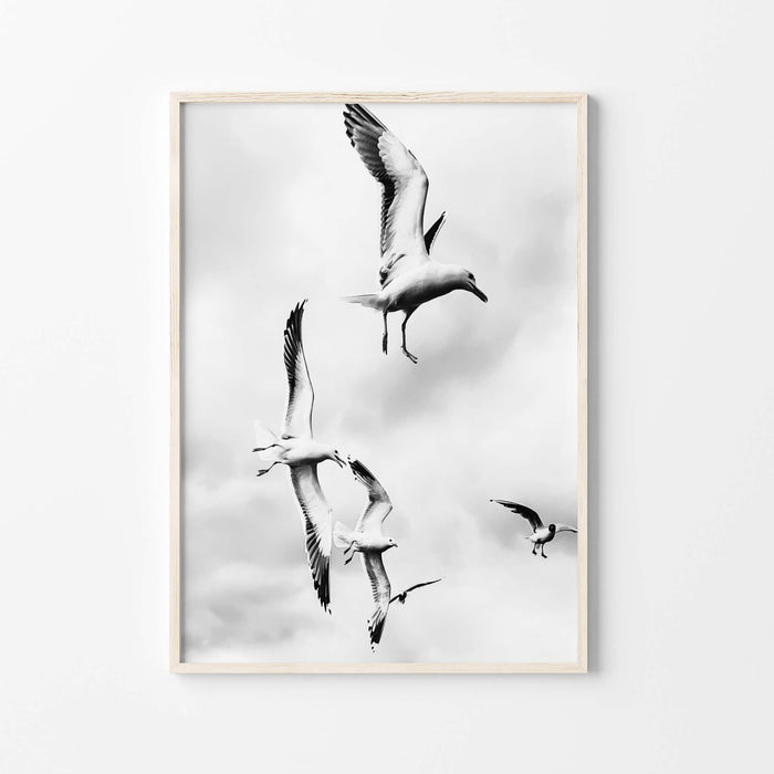 Seagulls wall art print