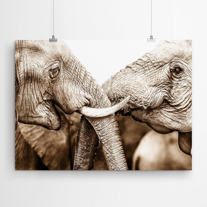 Sepia African Elephant Art Print