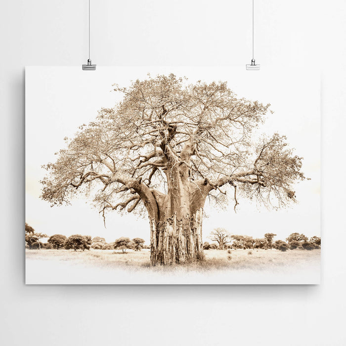 Sepia Baobab Wall Art Print