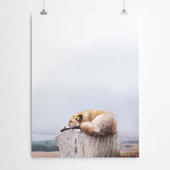 Artworld Wall Art Sleeping Fox Wall Art 765