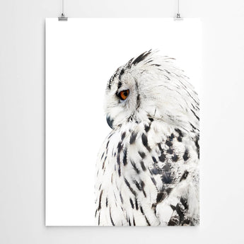 Artworld Wall Art Snow Owl Print 767