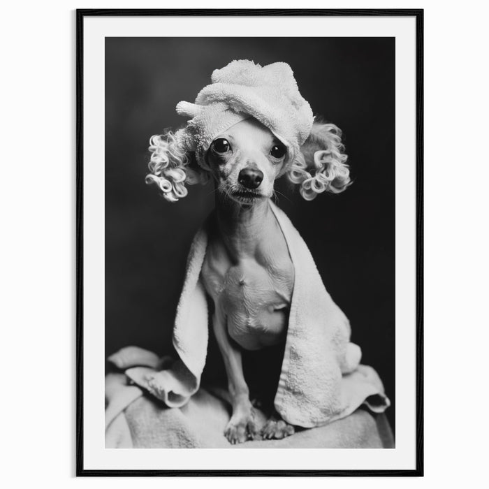Spa Day Pooch