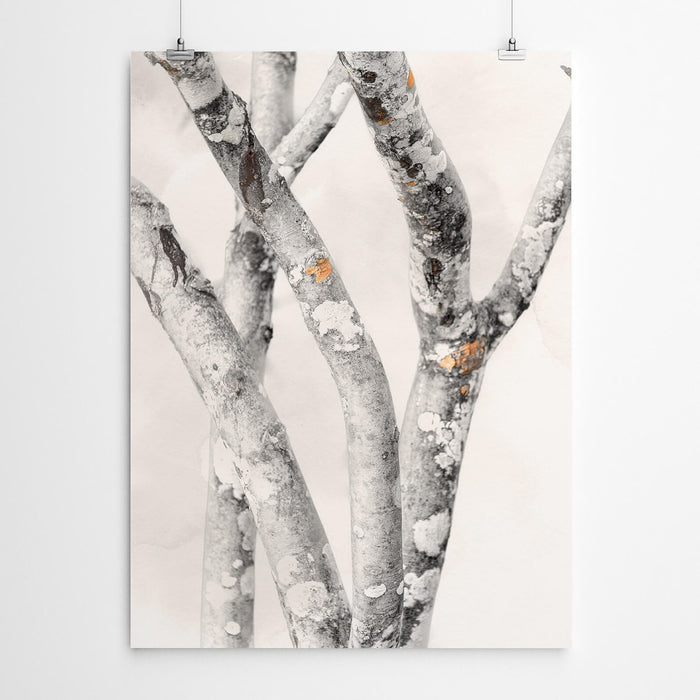 Subtel Tree Branch Print