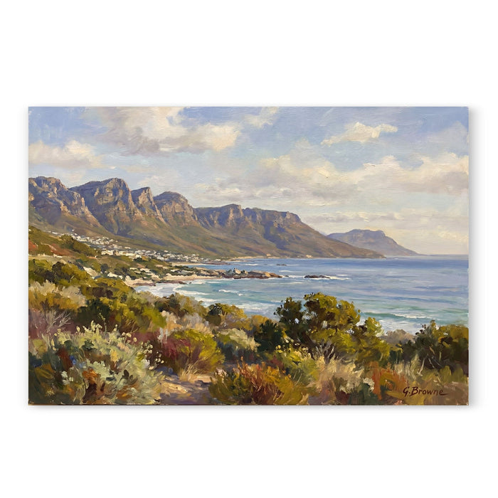 Table Mountain Coastal Vista With Wildflowers