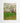 Artworld Wall Art The Flowering Orchard - Vincent Van Gogh Fine Art Prints 795