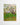 Artworld Wall Art The Flowering Orchard - Vincent Van Gogh Fine Art Prints 795