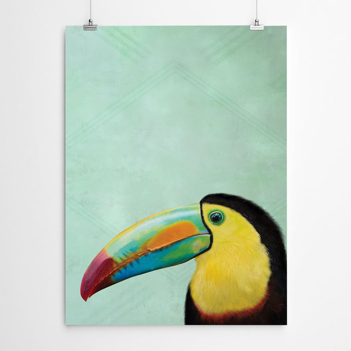 Toucan Bird Art
