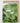 Artworld Wall Art Tropical Art Canvas Print 83