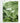 Artworld Wall Art Tropical Art Canvas Print 83