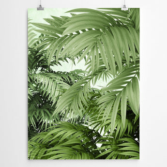 Artworld Wall Art Tropical Art Canvas Print 83