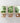Artworld Wall Art Tropical Art Set 85