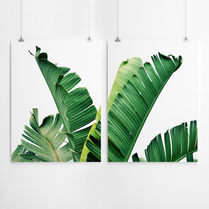 Tropical Banana Leaves Wall Art