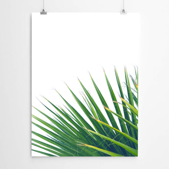 Artworld Wall Art Tropical Fan Palm Art 87