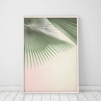 Artworld Wall Art Tropical Fan Palm Leaf Print 88