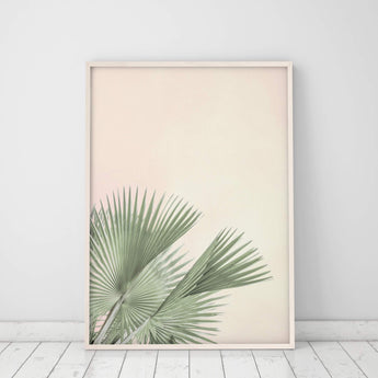 Artworld Wall Art Tropical Fan Palm Leaves Print 89