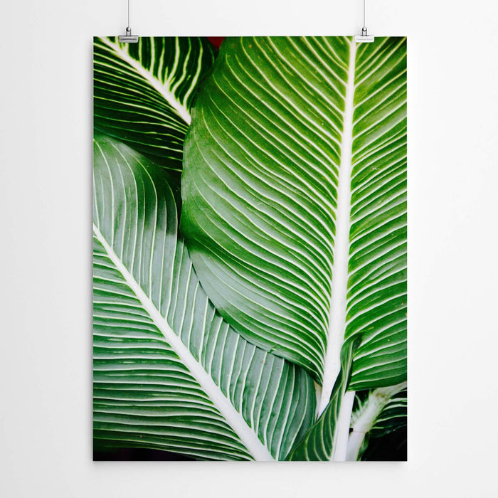 Tropical Green Leaves Art