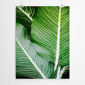 Artworld Wall Art Tropical Green Leaves Art 825