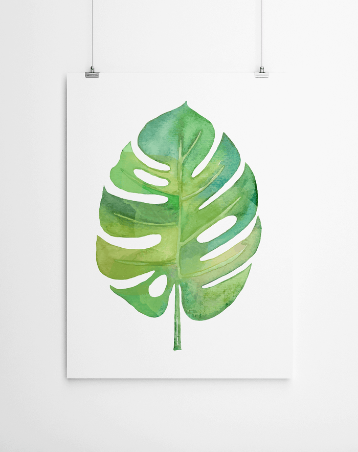 Tropical Leaf