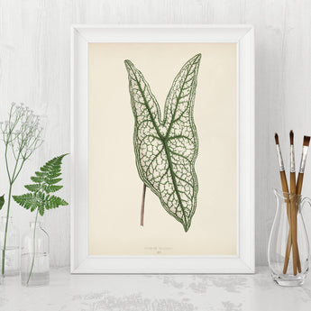 Artworld Wall Art Tropical Leaf Wall Art 832