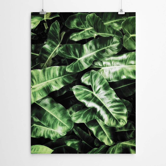 Tropical Leaves Wall Art