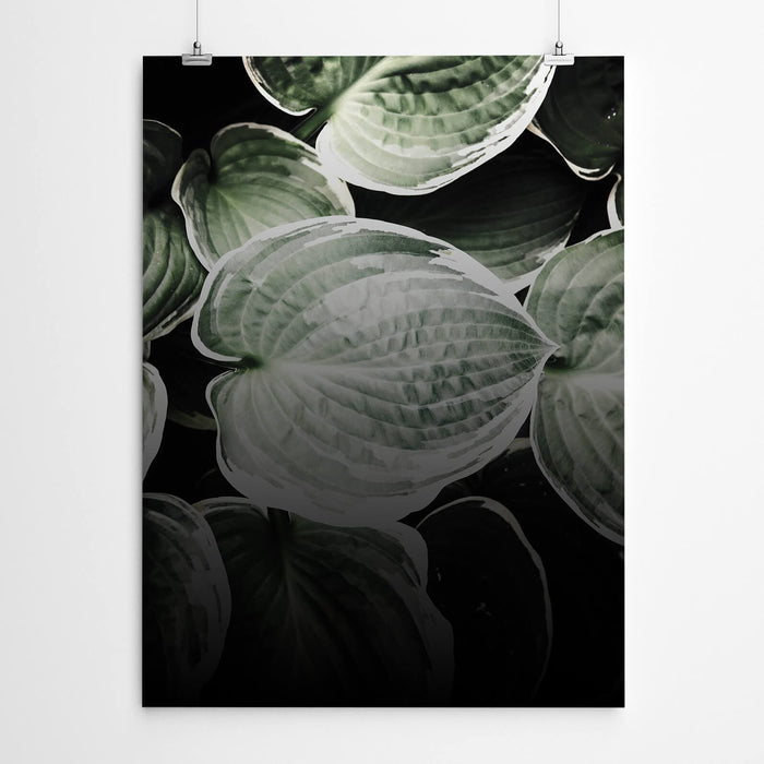 Tropical Leaves Wall Art Canvas Prints