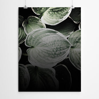 Artworld Wall Art Tropical Leaves Wall Art Canvas Prints 839